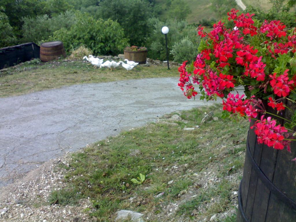 Aia Di Lazzaro Agriturismo Casalbore Exterior photo